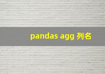 pandas agg 列名